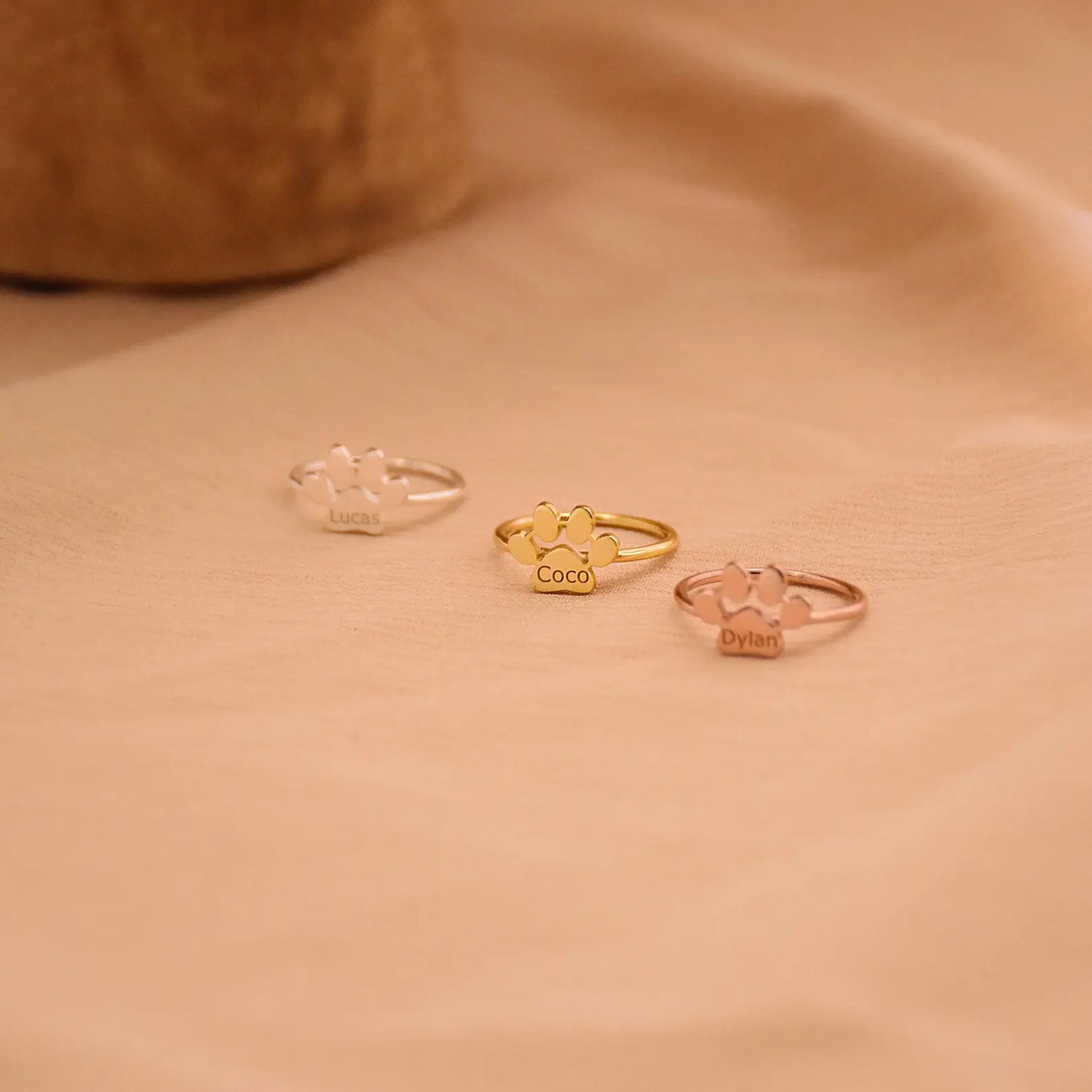 PAW NAME RING 𓏌