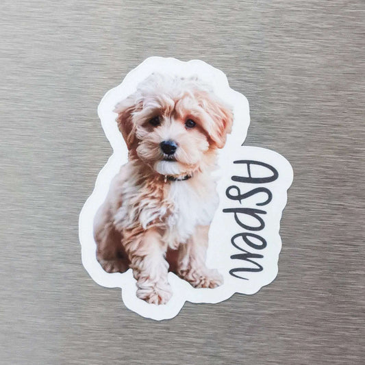 custom fridge magnet personalized photo print Mumbai