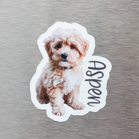 custom fridge magnets, custom photo magnets, acrylic fridge magnet, paper fridge magnet, matte fridge magnet, glossy fridge magnet, square fridge magnet, rectangle fridge magnet, flower-shape magnet, oval magnet, fridge magnet printing, personalised refrigerator magnets, bulk fridge magnets, custom magnet gifts